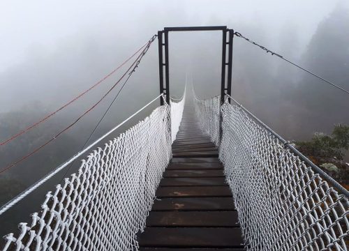 Tour Del Valle a las Nubes (Oaxaca)